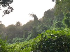 -南京市江宁方山