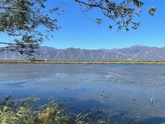-野鸭湖国家湿地公园