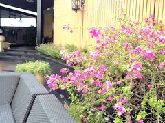 -璟象酒店-爱丽坊景观餐厅