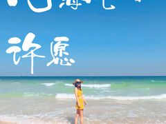 -月光岛
