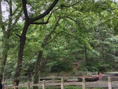 -信阳灵山风景区