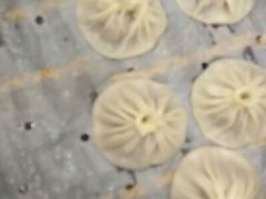 -老班长手工灌汤包老店(东山店)