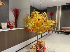 -张生记(丁香国际店)