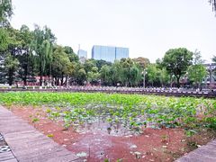 -四川大学(望江校区)