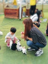 -萌宠亲子动物乐园(槐房万达店)