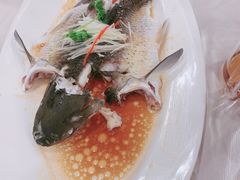 -明珠海港大酒店