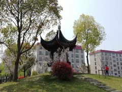 -上海财经大学(国定路校区)