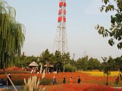 -羊亭河湿地公园