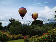 -中国科学院西双版纳热带植物园