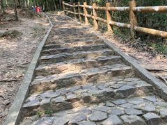 -上海佘山国家森林公园天马山园