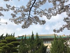 -武汉大学-樱园
