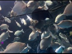 -多彩贵州城极地海洋世界