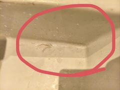 -必胜客(栖乐荟店)