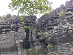 -梭布垭石林景区