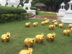 -清迈夜间动物园