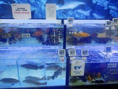 -物美大卖场(玉蜓桥店)