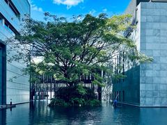 -三亚太阳湾柏悦酒店