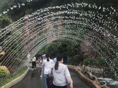 -黄腾峡天门悬廊