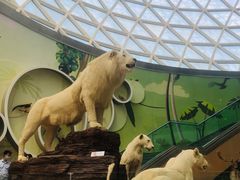 -陕西自然博物馆