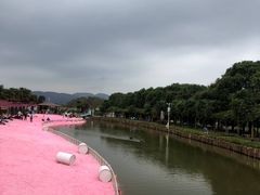 -苏州太湖西山岛开心农场