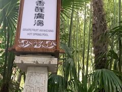 -西安国际创新人才交流中心•药浴温泉
