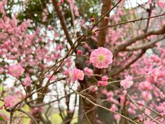 -鹦鹉寺公园