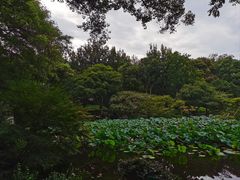 -杭州植物园