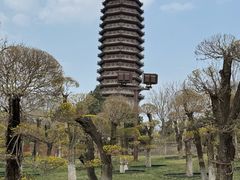 -西海子公园
