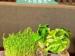 -罗勒家·养生火锅· Bistro(大望路店)