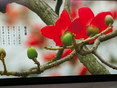 -公园前(地铁站)