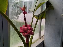 -国家植物园(地铁站)