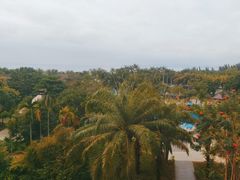 -三亚海棠湾万丽度假酒店