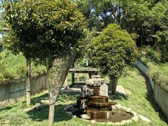 -中国大熊猫保护研究中心雅安碧峰峡基地