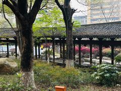 -绳金塔