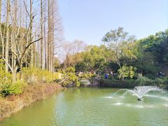 -上海醉白池公园