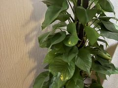 -韵道养生(古美店)