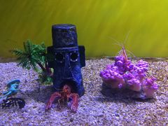 -芜湖新华联大白鲸海洋公园