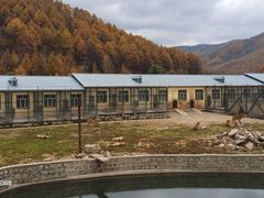 -横道河子东北虎林园