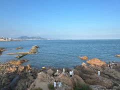 -小麦岛公园