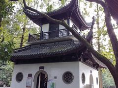 -汇龙潭