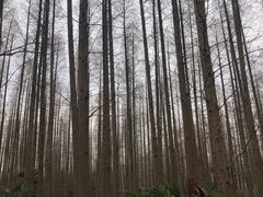 -上海怡沁园度假酒店