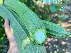 -小乡小镇·传承桐庐土菜·老板亲自烧的菜