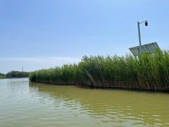 -野鸭湖国家湿地公园