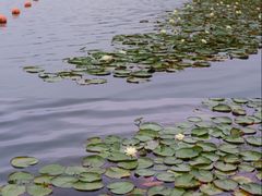 -暨阳湖生态园