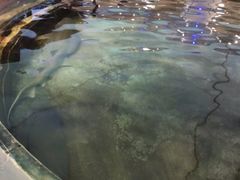 -鸿通城购物中心