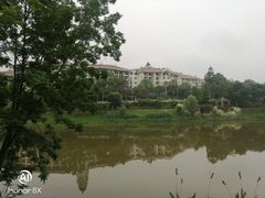 -重庆长寿碧桂园凤悦凤凰酒店