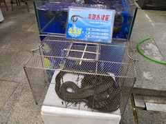 -东江海鲜酒家(艺都分店)