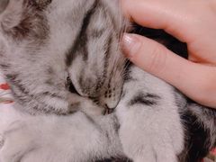 -宠福鑫康馨动物医院·骨科·眼科