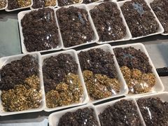 -西归浦每天偶来市场