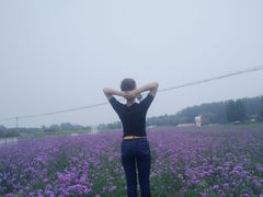 -北京东方普罗旺斯薰衣草庄园
